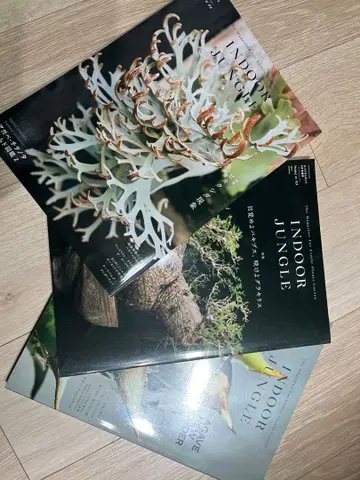 INDOOR JUNGLE 3권 세트