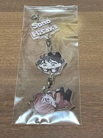 핏토스포룸 오엽 아크릴 참