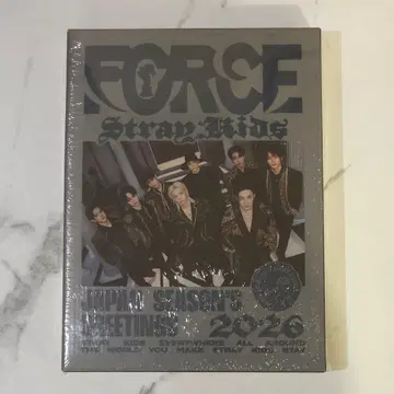 Stray Kids 시그 FORCE 미개봉