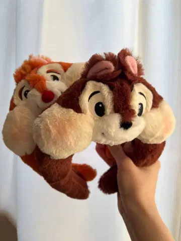 칩과 데일 머리띠 세트