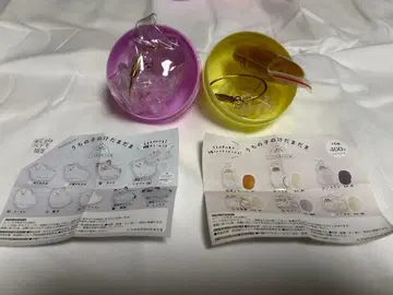 개의 털뭉치 우리 아이 털뭉치 고양이