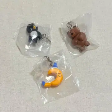 DAISUKE KONDO 메지루시 액세서리