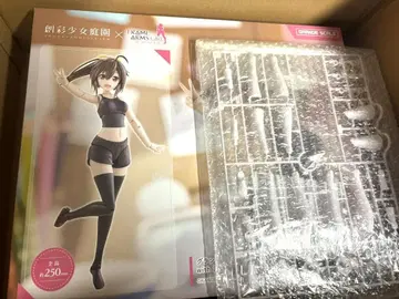 그랑데스케일 드레스업 바디 겐나이 아오 특전 포함 미개봉 미사용품