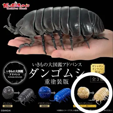 생물대도감 어드밴스 공벌레 (중페인팅판) 알비노 공벌레