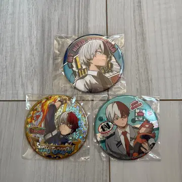 토도로키 쇼토 캔뱃지 세트 4점 세트 덤 포함