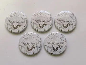 와다 아루코전 Fate 카르나 캔뱃지