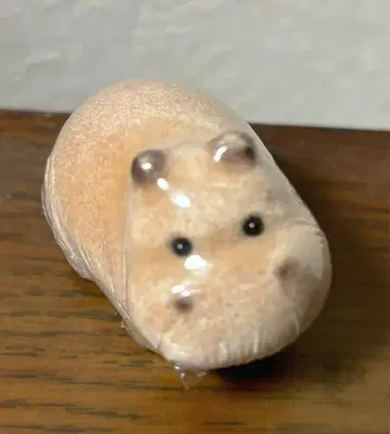 우오즈 수족관 진주 코너 플로키 하마