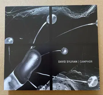 David Sylvian Camphor