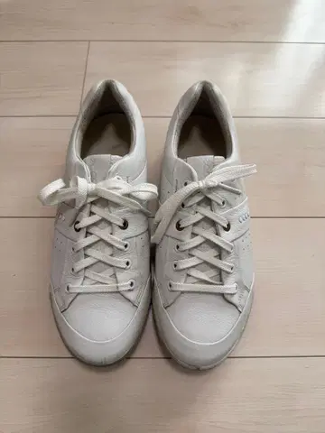 ecco 에코 골프화 41