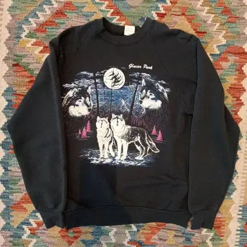 usa제 Fruit of the Loom 맨투맨