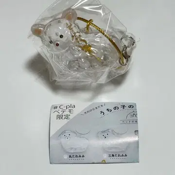 우리 아이 털뭉치 강아지 한정판 모듬 치와와 화이트 2