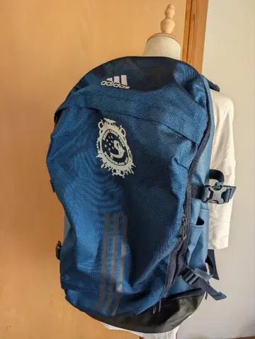 드림즈 컴 트루 adidas 콜라보 원더랜드 2019 백팩