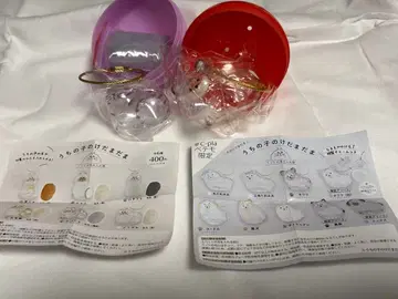 개의 털뭉치 우리 아이의 털뭉치 고양이