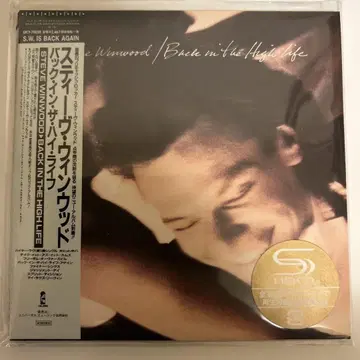 스티브 윈우드 Back in the High Life 종이 재킷