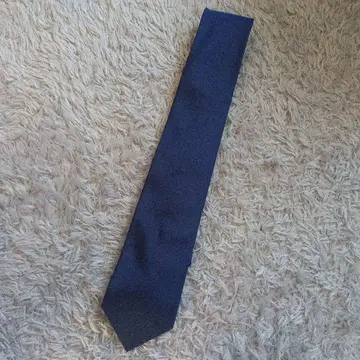 Salvatore Ferragamo 네이비 넥타이