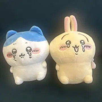 치이카와 (먼작귀) 울어버린 하치와레 토끼