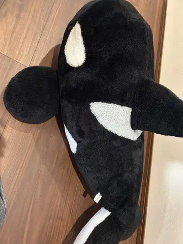 범고래 봉제 인형