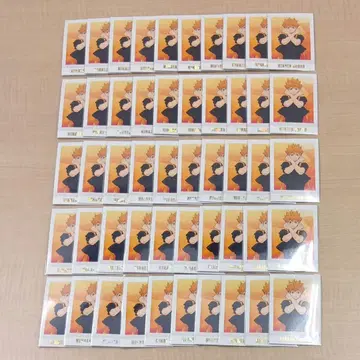 하이큐 히나타 쇼요 파샤코레 premium 응원단 50장