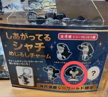 스마 월드 완성된 범고래 메지루시 참