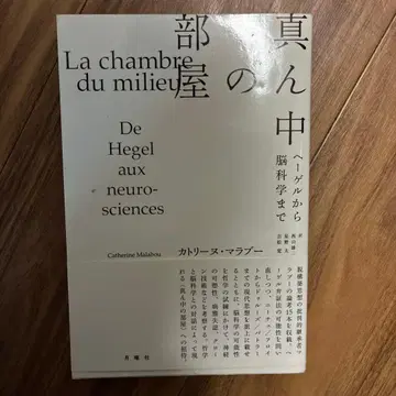 가운데 방 헤겔부터 뇌과학까지