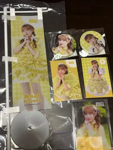 FRUITSZIPPER 기념 스페셜 복권 하야세 노엘 등신대 캔뱃지 카드