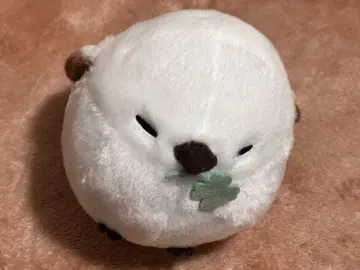 봉제 인형 시마연가