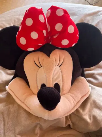 [ 1/3까지 판매 ] 팬캡 미니