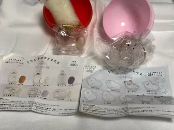 개의 털뭉치 우리 아이의 털뭉치 고양이