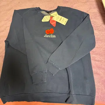 ZARA 블루 맨투맨 장미 L