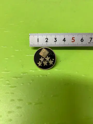 도미노피자 배치