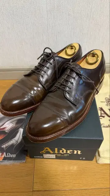 컨디션 최상 알든 캡토 시가 24802 7D