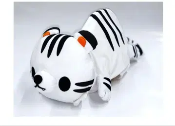 아스카 하프 마라톤 2026 사신 캡