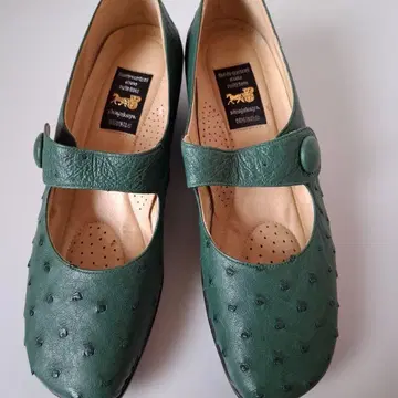 시구쿠야 오스트리치 가죽 고급 컴포트