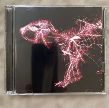 그라데이션 슈퍼 비버 SUPERBEAVER CD 동리베 DVD