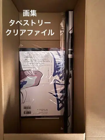 모치즈키 케이 화집 인간이여 강욕하라 태피스트리&클리어 파일 세트 속세