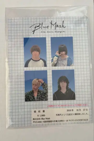 Blue Mash 증명사진