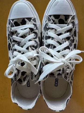 Converse 레오파드 무늬 로우컷 스니커즈