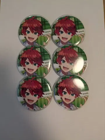 쟈파파 파라피치 캔 배지