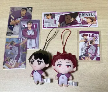 하이큐 우시지마 와카토시 텐도 사토리 묶음 판매