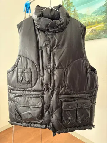 DAIWA PIER39 TECH CLIMBERS DOWN VEST