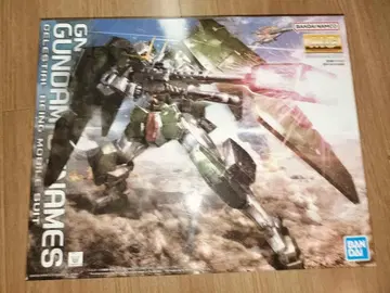 MG 1/100 건담 듀나메스