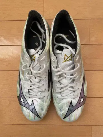 미즈노 알파 PRO 25.5cm