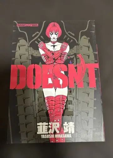 DOESNT 니라사와 야스시