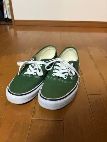 Vans 오센틱 그린 스니커즈
