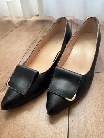 EIZO 펌프스 레인 대응