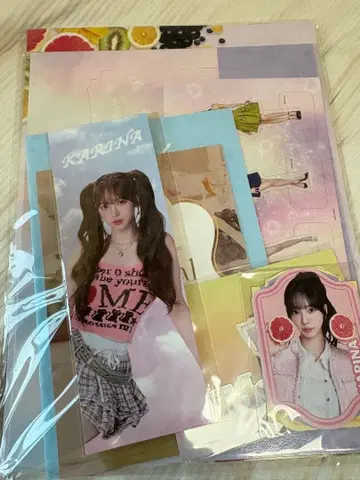 aespa KARINA 팬클럽 혜택