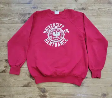 90's Lee 칼리지 맨투맨 USA제 표기 XL 트레이닝복 구제 의류