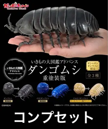 생물대도감 어드밴스 공벌레 온라인 한정판 중도장판 컴프세트