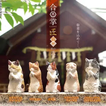전 5종 세트 합장 장인 고양이 배 그 둘 컴플리트 본체만
