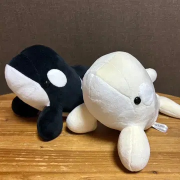 [ 한정판 ] 나고야항 수족관 봉제 인형 복권 범고래 2종류